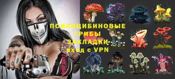 ГАЛЛЮЦИНОГЕННЫЕ ГРИБЫ Киренск