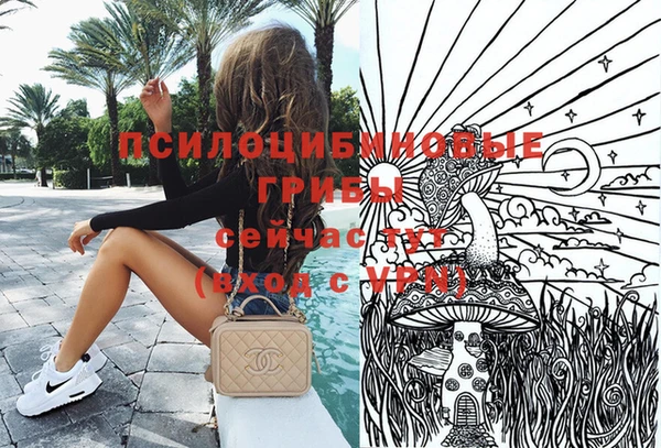 ALPHA PVP Киреевск